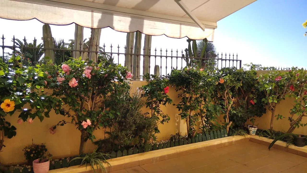 Casa El Sentir Apartment Sauzal Spain
